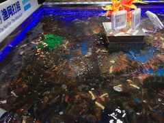 -盒马鲜生(首义店)