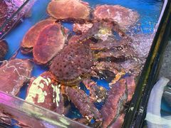 -营口路海鲜市场