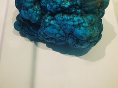 -金钉子远古世界景区