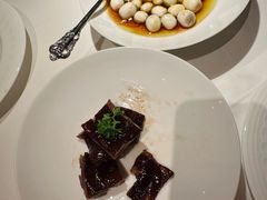 -西郊5号·Maggie 5