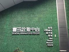 -证大喜玛拉雅中心