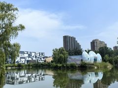 -诸城市恐龙博物馆