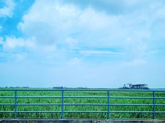 -长兴对江渡客运站