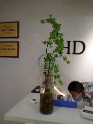 点击看大图 -HD HAIR STYLE