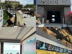 -巨鹏飞梦幻海岸