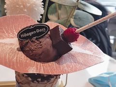 -哈根达斯(国瑞店)