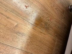 -喆·啡酒店(秦皇岛人民公园广场店)