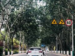 -唐山河头老街国丰维景国际大酒店