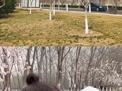-东郊湿地公园