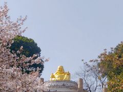 -苏州上方山国家森林公园