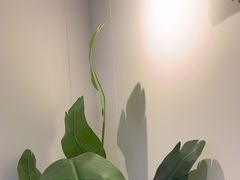 -山也·私厨(岳麓店)