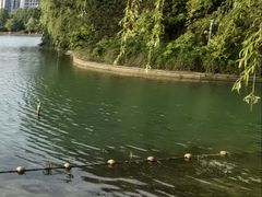 -天鹅湖体育公园