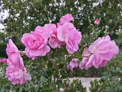 -胡安之家烤肉馆