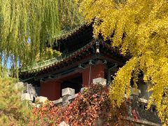 -济南大明湖景区