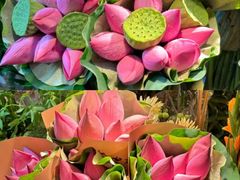 -溪岸路花鸟市场