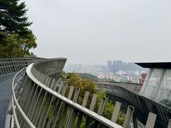 -福道