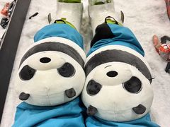 -绍兴启迪乔波冰雪世界