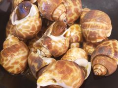 -無牌小范·香港明星美食