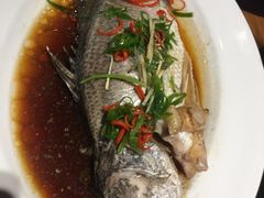 清蒸鲈鱼-泰华海鲜中餐厅(普吉镇店)