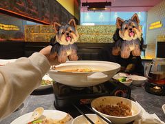 -炊烟小炒黄牛肉(浦东世纪汇店)
