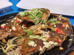 -小桂林烧鸽子