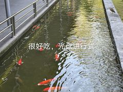 -南宁荔园维景国际酒店·荔园中餐厅