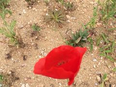 -东戴河风景区-止锚湾