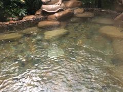 -天目湖涵田半山温泉