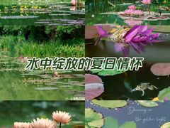 -国家植物园南园