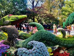 -杭州植物园