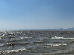 -呈贡滇池生态湿地公园