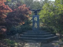 -南京老山国家森林公园