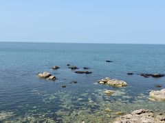 -养马岛旅游度假区