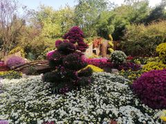 -杭州植物园