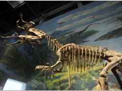 -自贡恐龙博物馆