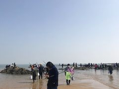 -巧克力渔家.小船海鲜胶东菜(万平口店)