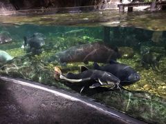 -暹罗海洋世界