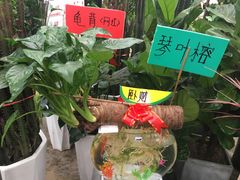 -秦美花卉(天朗·莱茵小城2期店)