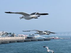 -星海广场