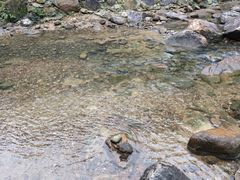 -广州白江湖森林公园