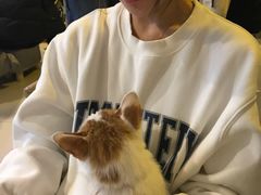 -平行世界·猫咖(首经贸店)