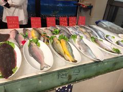 -紫阳富豪大酒店(惠南店)