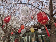 -春风习习