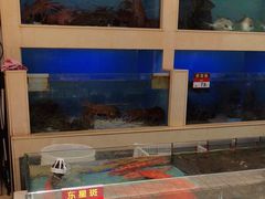 -宜宾海鲜酒家·三十年老字号