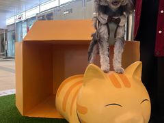 -MARSMART PETS火星宠物超市(1733店)
