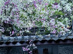 -深圳国际园林花卉博览园