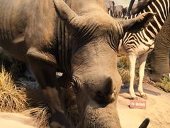 -陕西自然博物馆