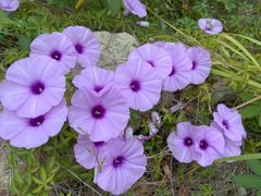 -东山湖温泉度假村