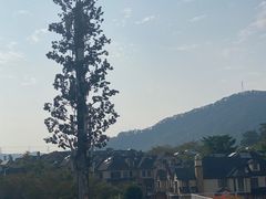 -白石龙音乐公园