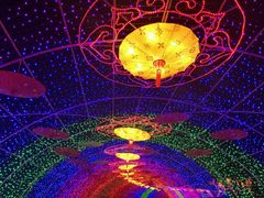 -秀丽东方